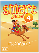 Flashcards